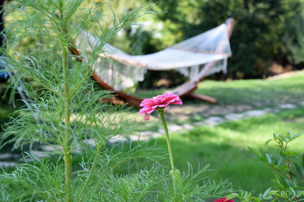 Golden Horn Guest House Iskrets Buitenkant foto